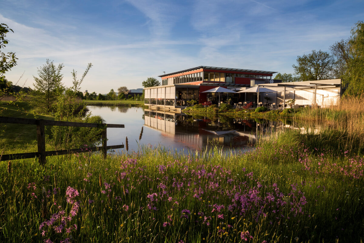 Golfpark Oberkirch zum Hinweis auf Ausstellung von Birdiehook